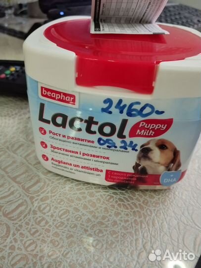 Сучье молоко