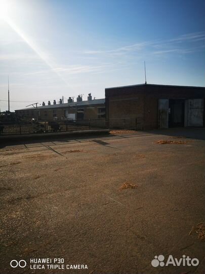 Сельское хозяйство 400 га