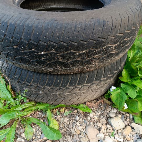 Toyo Open Country A/T 215/75 R15