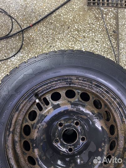 Gislaved Nord Frost 5 205/60 R16