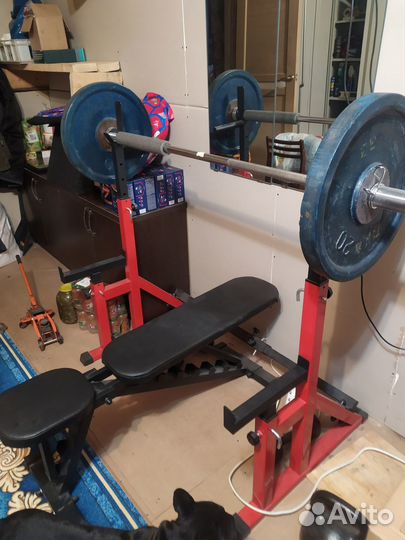 Скамья + гриф + блины