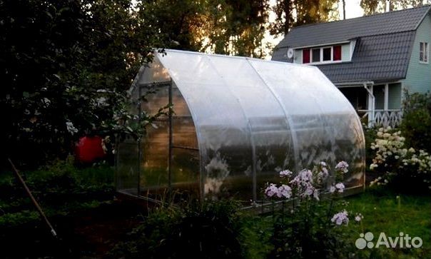 Теплица 2 двери и 2 форточки