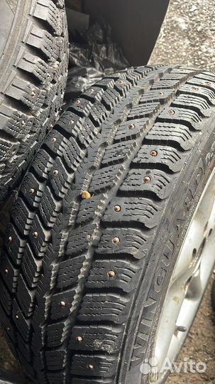 Roadstone Winguard 231 195/55 R55