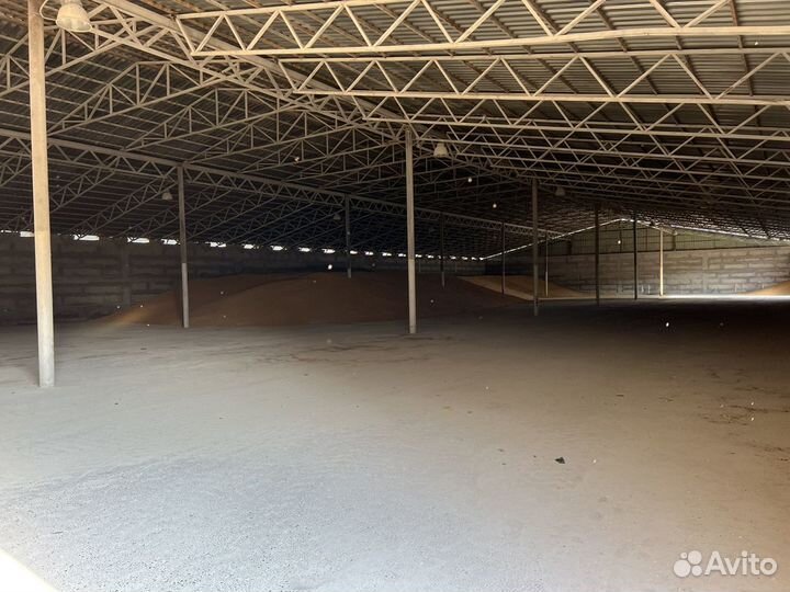 Оказывает услуги по сушке и хранению кукурузы