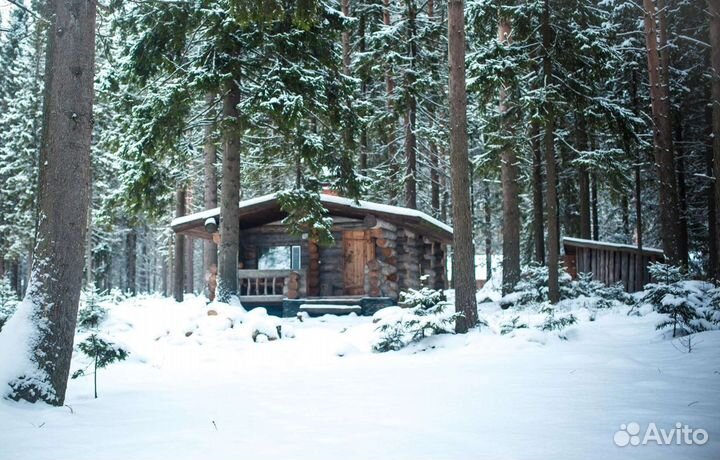 Срубы домов и бань из сосны Кело