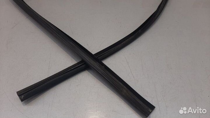 Уплотнительная резинка стекла двери задняя левая