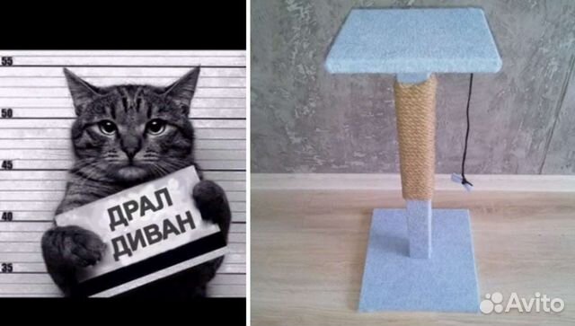 Когтеточка