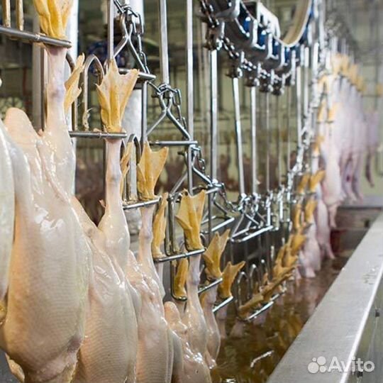 Оператор на линию (Вахта)