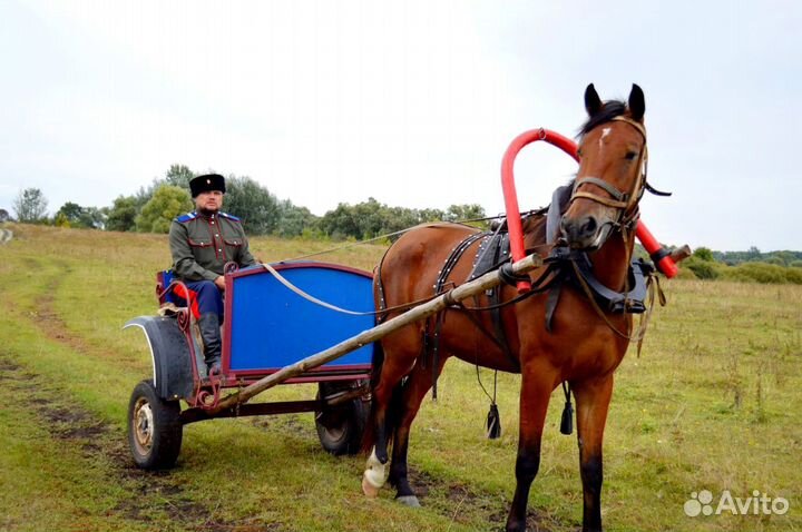 Санки коляска