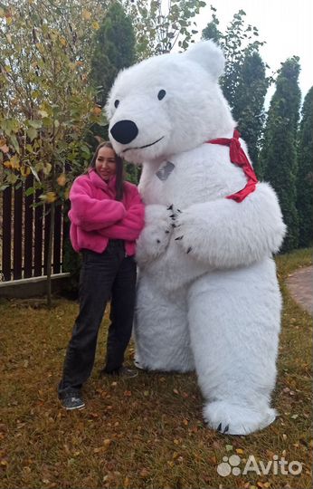 Белый мишка поздравление, чебурашка, медведь бурый