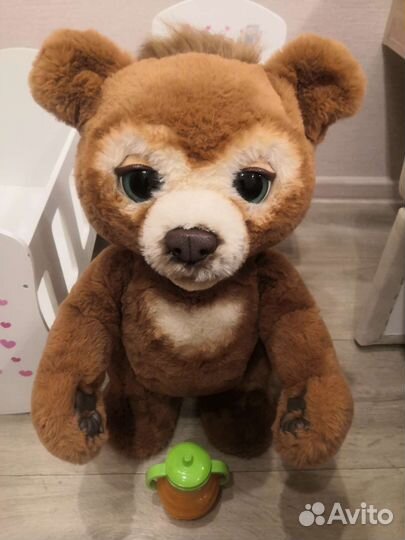 Живой Медвеженок