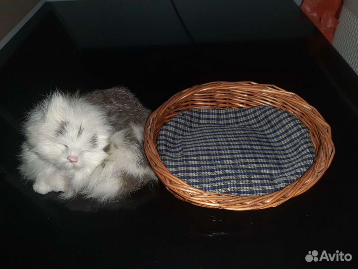 Кошка в корзинке