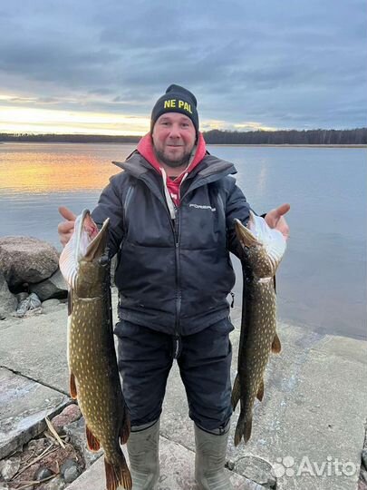 Рыболовный тур. Рыбалка С Гидом. Трофейная Рыба