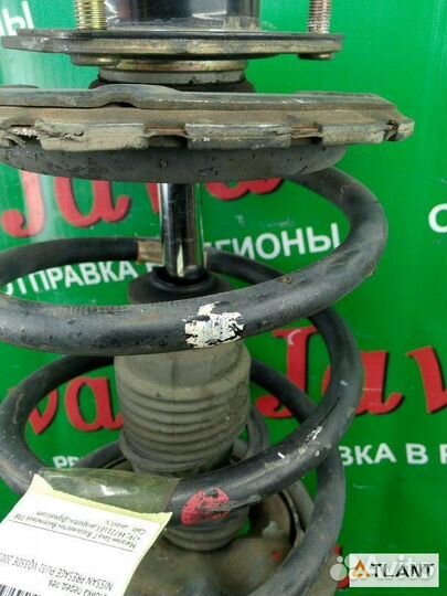 Стойка передняя левая nissan presage