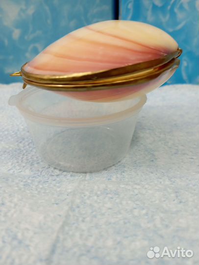 Морские ракушки раковины