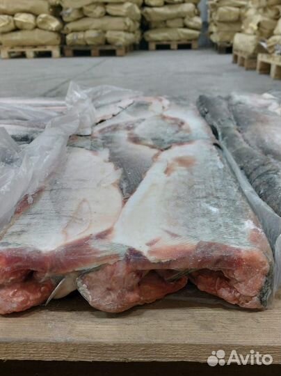 Кижуч Оптом