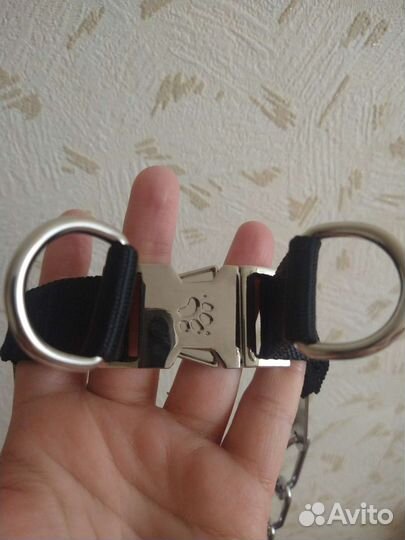 Строгий ошейник для собак