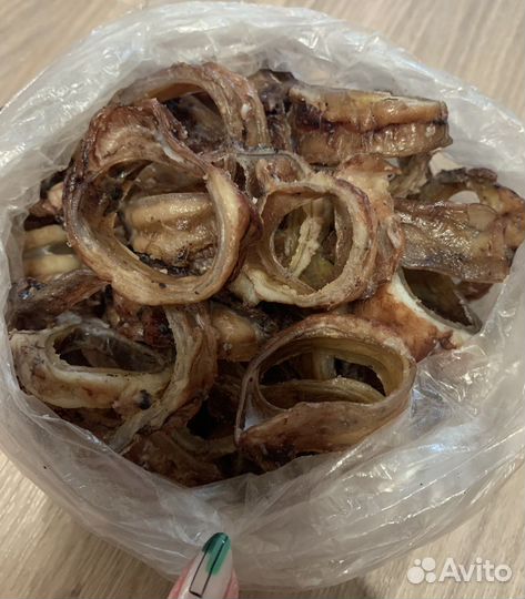 Шлейка кожа для собаки Аркон