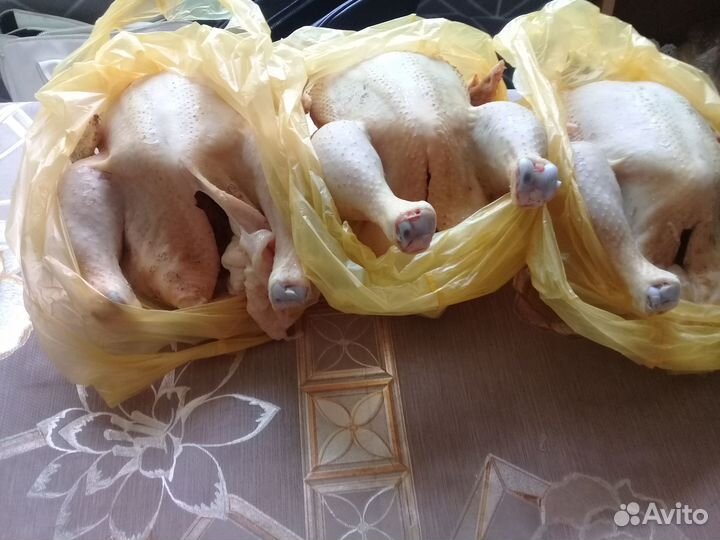 Мясо домашнего бройлера