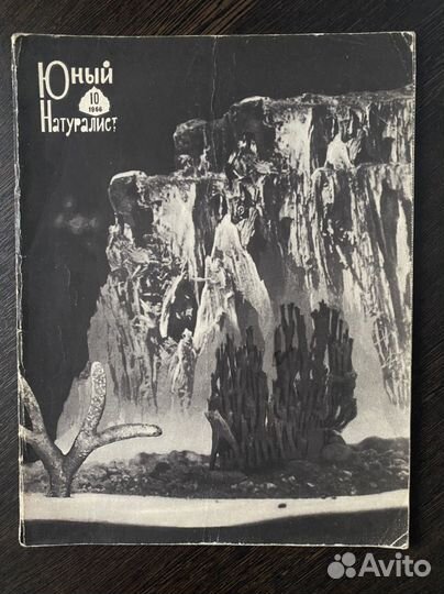 Юный натуралист журнал