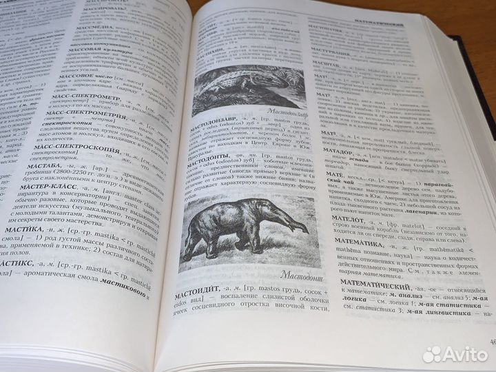 Большой иллюстрированный словарь иностранных слов