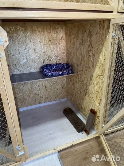 Передержка для животных кошек, грызунов, птиц