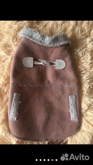 Одежда для собаки