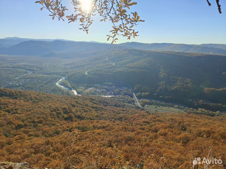 Ветврач,Ветеринарный паспорт,Титры,Ф1