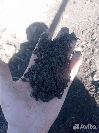 Перегной Земля плодородная