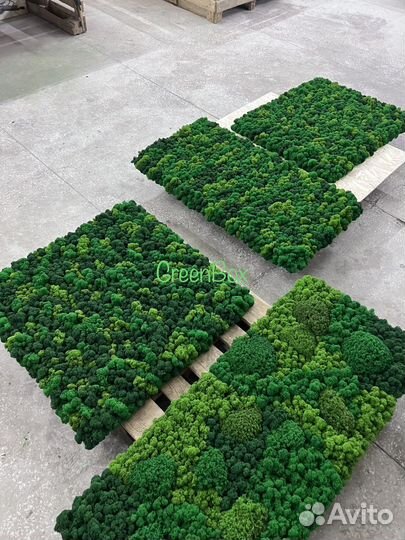 Панель из мха 90*90см