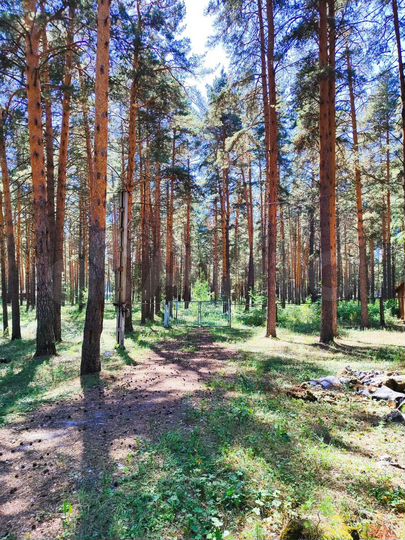 Участок 6,7 га (СНТ, ДНП)