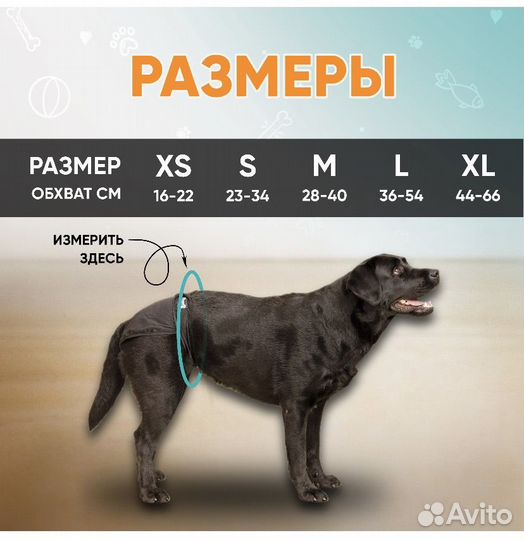 Трусы -памперсы многоразовые для собак XL