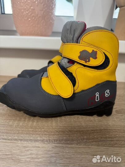 Лыжные ботинки