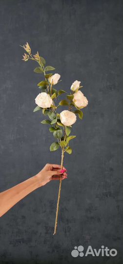 Розы декоративные на ветке