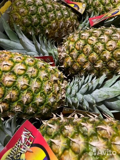 Овощи и фрукты оптом