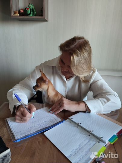 Зоопсихолог. Кинолог. Фелинолог