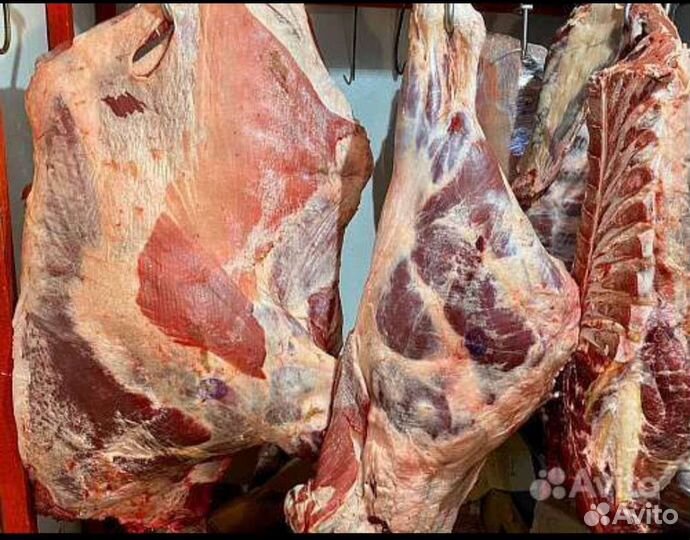 Мясо говядина