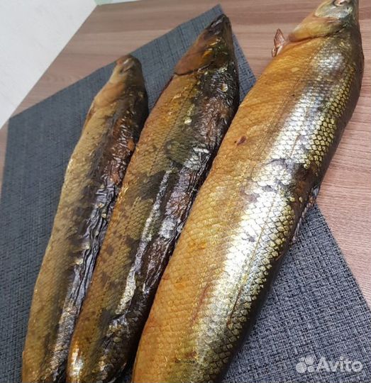 Коптильня дачная