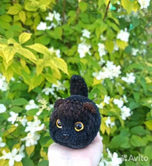 Плюшевые котята