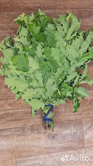 Веники дубовые для бани и саун. Свежий сбор 2023