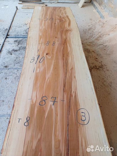 Вековые слэбы бука в наличии