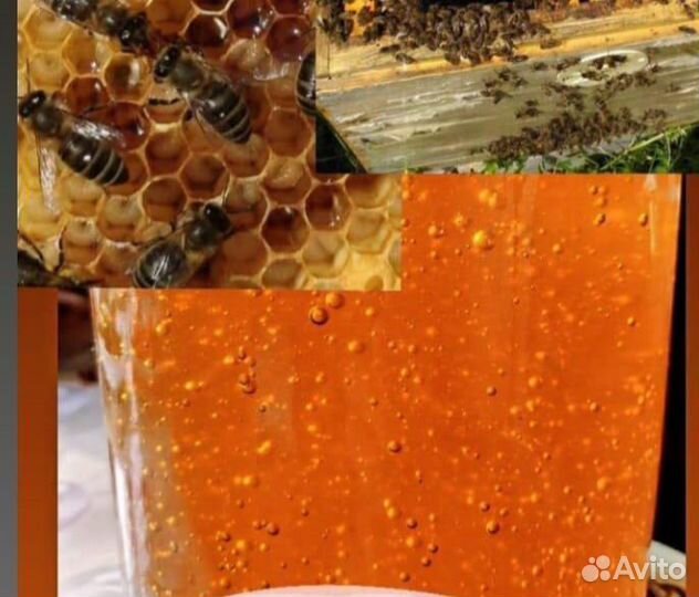 Мёд натуральный