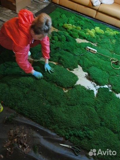 Стабилизированный мох пластовой