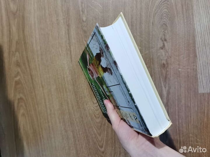 Сенсорная интеграция Изд. Теревинф Анита Банди