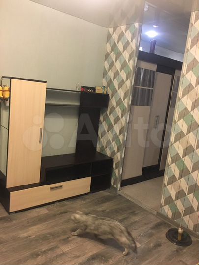 Комната 18 м² в 1-к., 5/5 эт.