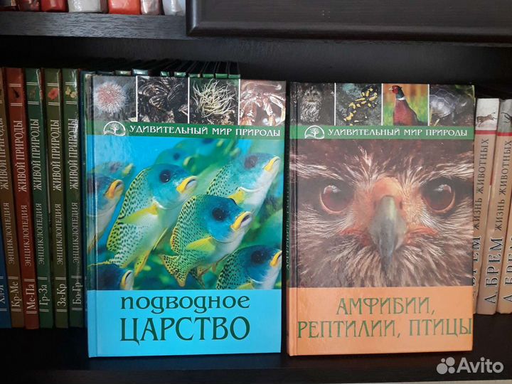 Книги разные