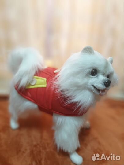 Собака в смешанной технике