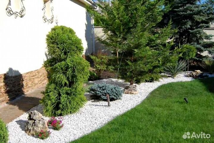 Рулонный газон, посевной газон