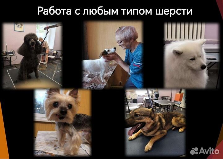 Грумер-универсал