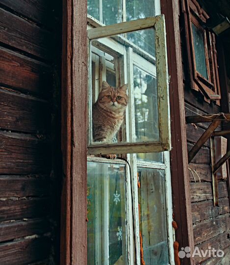 Фотограф
